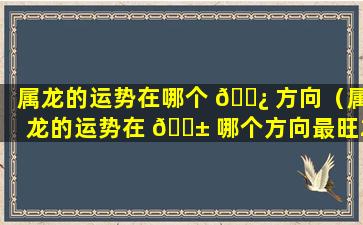 属龙的运势在哪个 🌿 方向（属龙的运势在 🐱 哪个方向最旺2024）